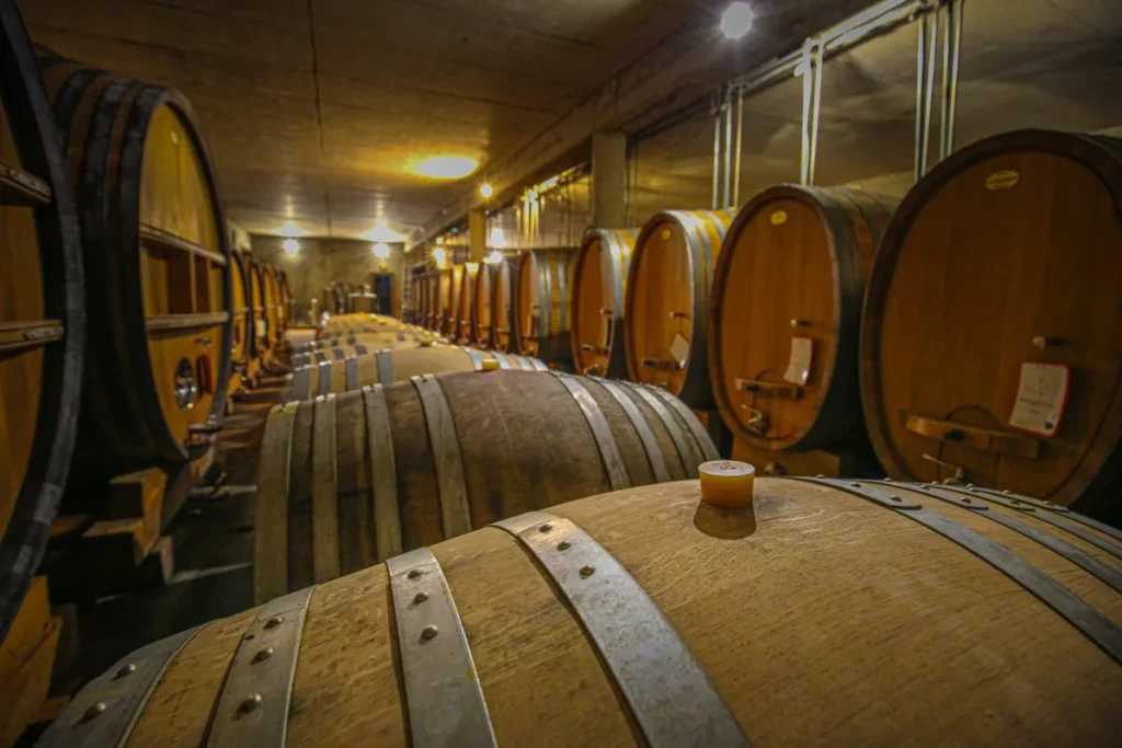 Clos Canarelli - Foudres de bois et barriques dans le chai d’élevage