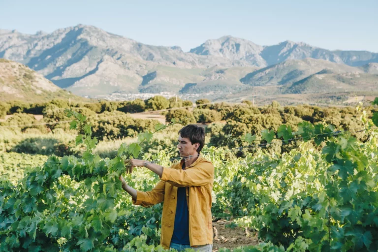 Clos Culombu