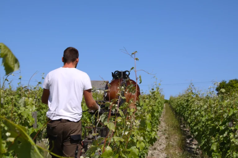 Clos de l&rsquo;Écotard