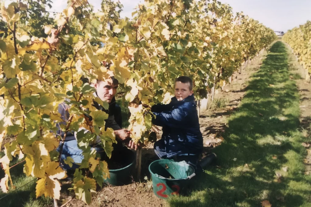 Clos de l’Écotard - Michel et Thibaud Chevré aux vendanges, sous les feuilles d’automne