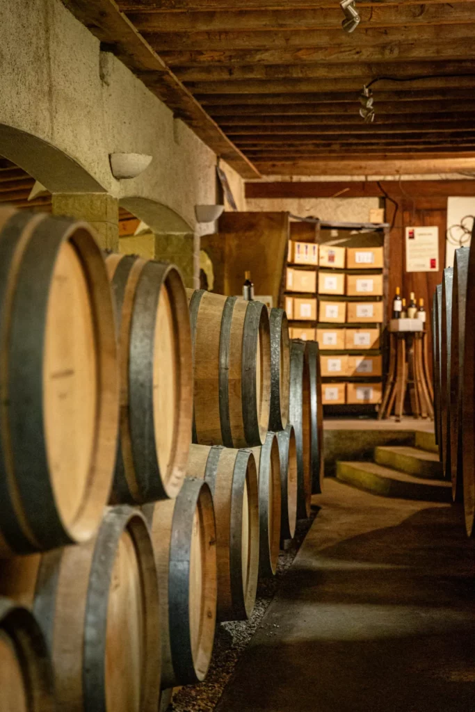 Clos Lapeyre - Chai à barriques du domaine