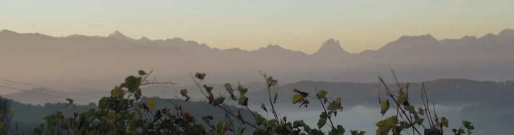 Clos Lapeyre - Pyrénées et pic du Midi d'Ossau à l'aube au-dessus des vignes