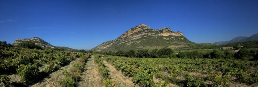 Clos Signadore - Panorama du clos, vignes et relief rocheux sous un ciel bleu