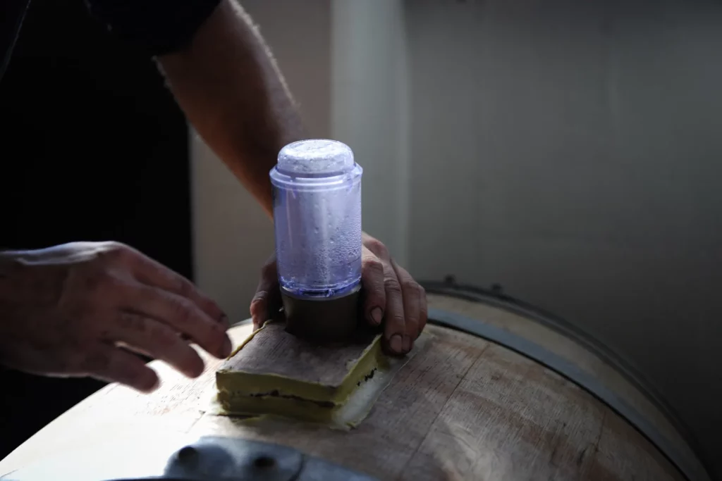 Corentin Houillon - Fût en fermentation coiffé de sa bonde, à la cave du domaine
