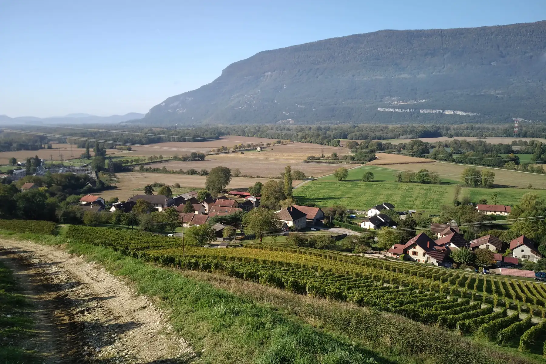 Corentin Houillon - La parcelle de Veronnet sur le coteau de Serrières-en-Chautagne, face au Grand Colombier