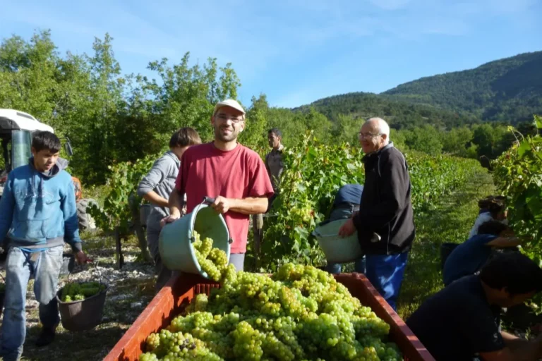 Domaine Achard-Vincent