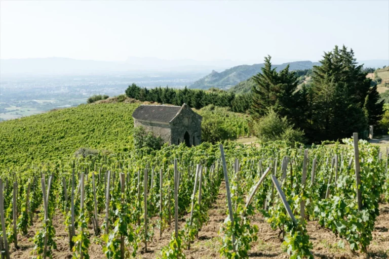 Domaine Alain Voge