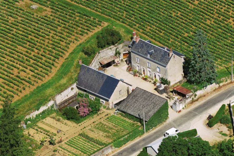 Domaine Allias