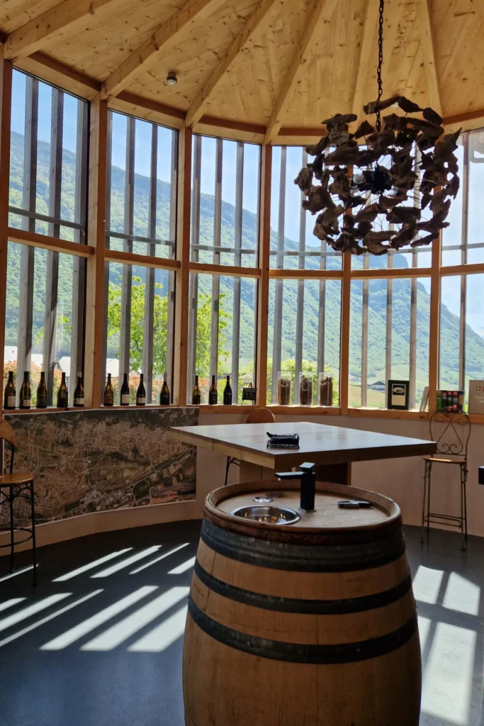 Domaine Anne-Sophie et Jean-François Quénard - Le caveau de dégustation et ses baies vitrées tournées vers les montagnes