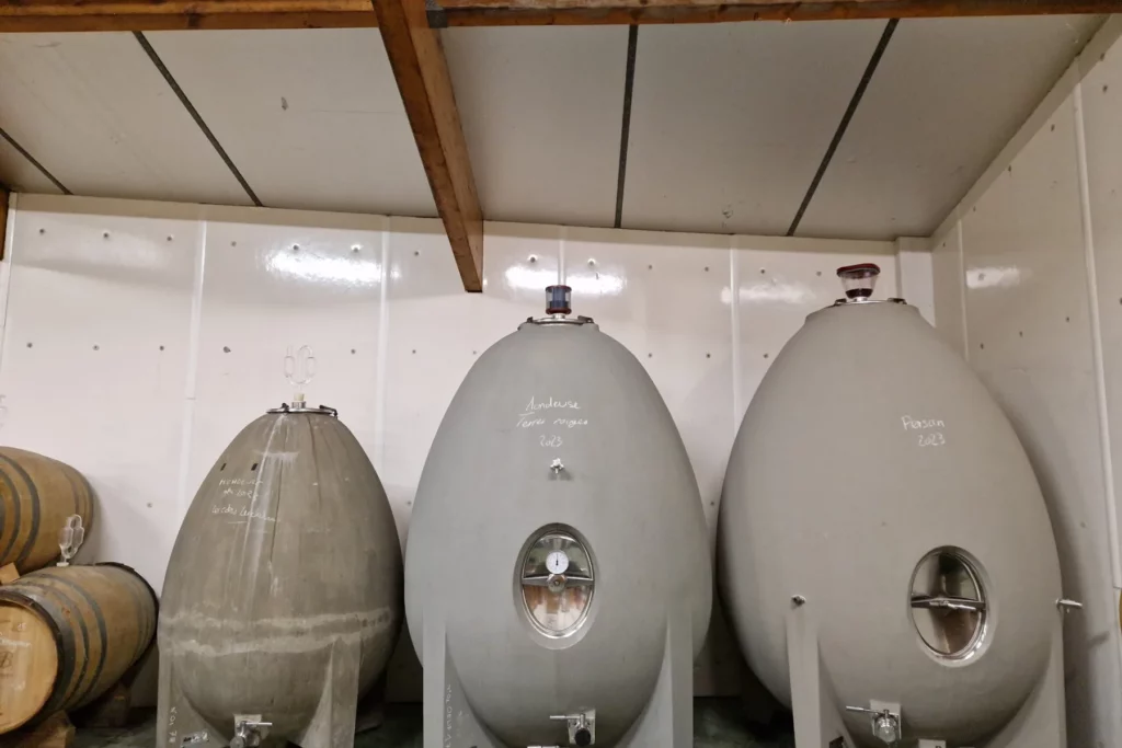 Domaine Anne-Sophie et Jean-François Quénard - Œufs en béton alignés dans le chai