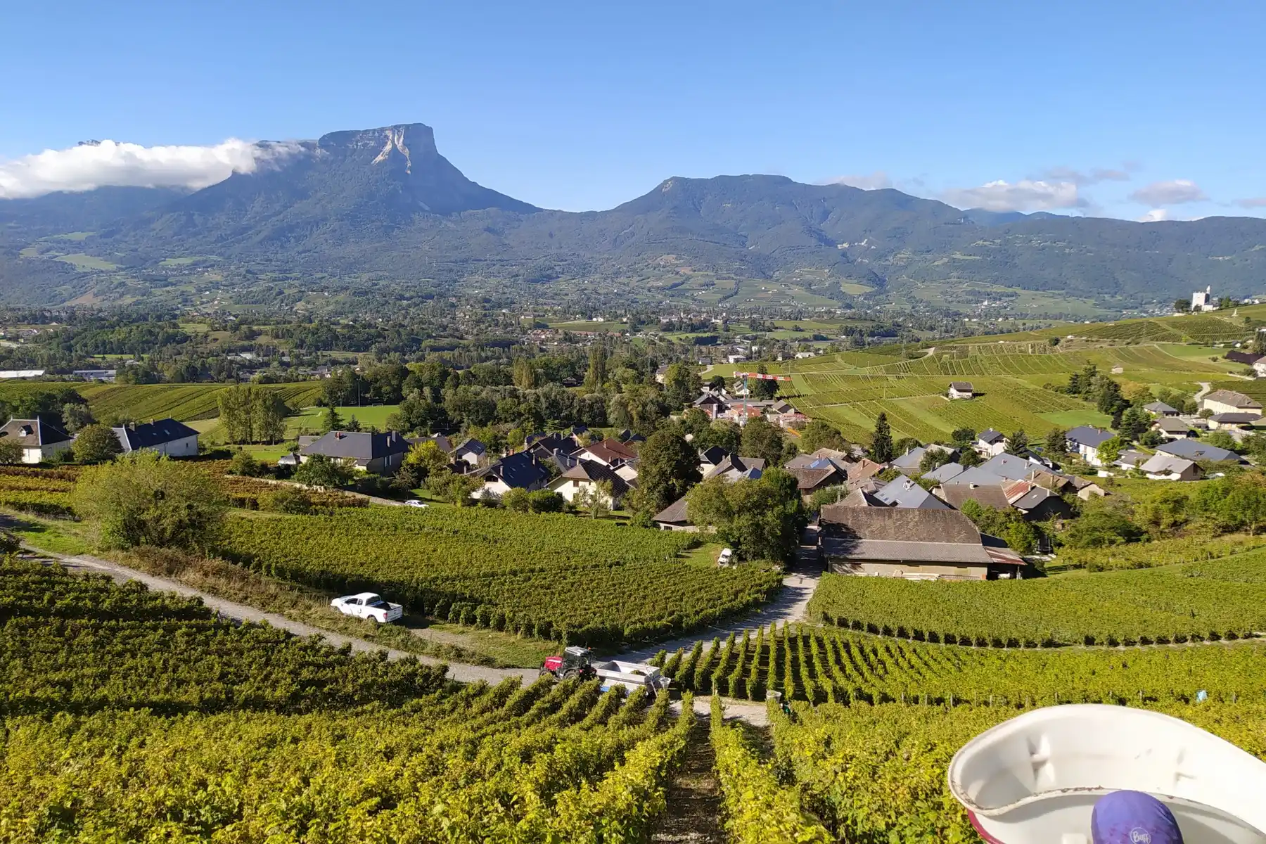 Domaine Anne-Sophie et Jean-François Quénard - Les vignes de Chignin face au mont Granier