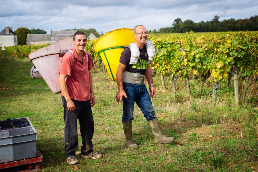 Domaine Arnaud Lambert - Deux vendangeurs et leurs hottes au bout des rangs