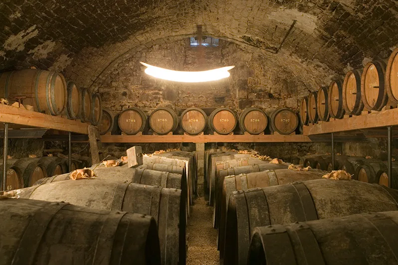 Domaine Benoit Badoz - Fûts de vin jaune dans une cave voûtée en pierre