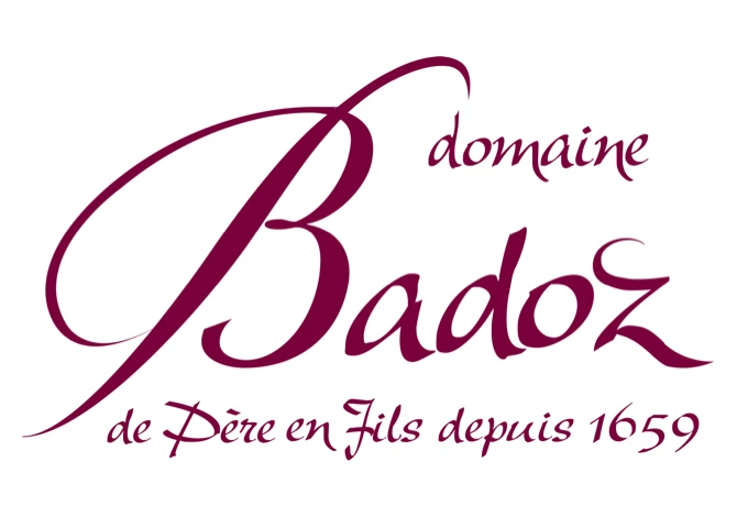 Domaine Benoit Badoz
