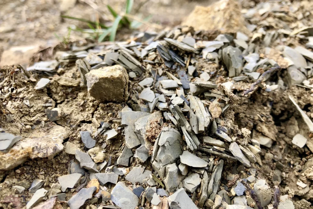Domaine Benoit Badoz - Marnes grises feuilletées du Lias sur le terroir des Roussots