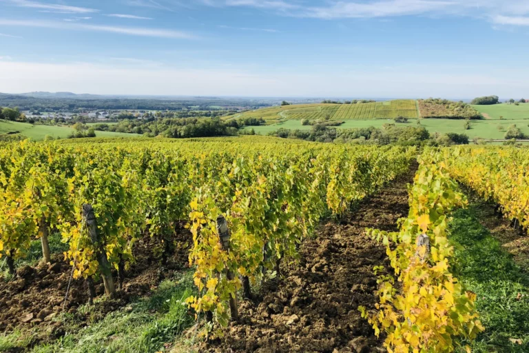 Domaine Benoit Badoz
