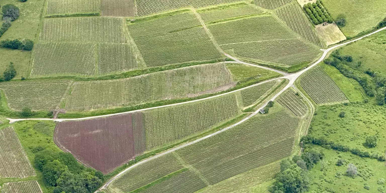 Domaine Benoit Badoz - Le vignoble des Roussots vu du ciel, à Poligny