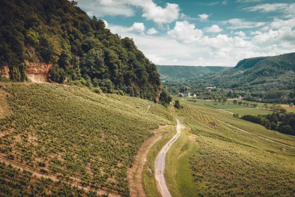 Domaine Berthet-Bondet - Coteau de vignes sous la falaise, au-dessus de la vallée