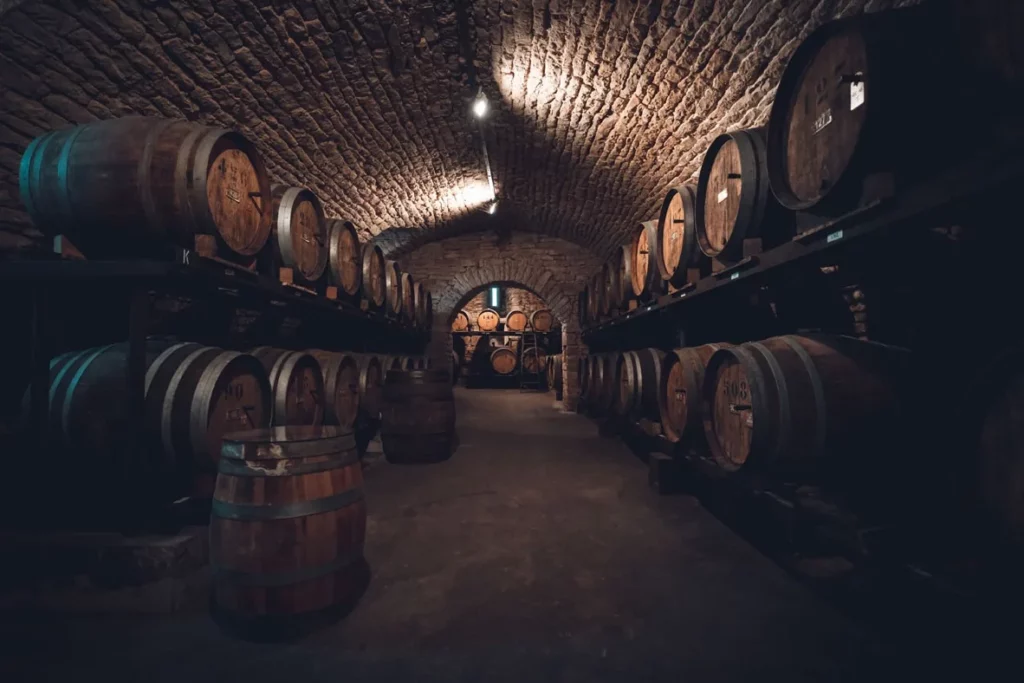 Domaine Berthet-Bondet - Fûts alignés sous la voûte de pierre de la cave