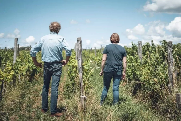 Domaine Bourdy