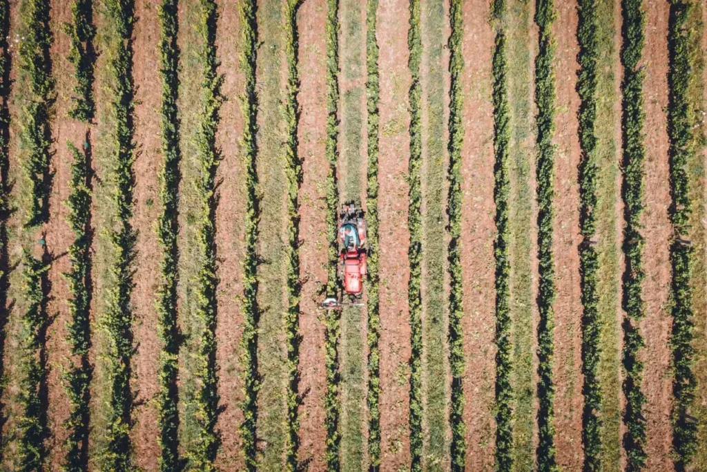 Domaine Bourdy - Rangs de vigne et tracteur vus du ciel