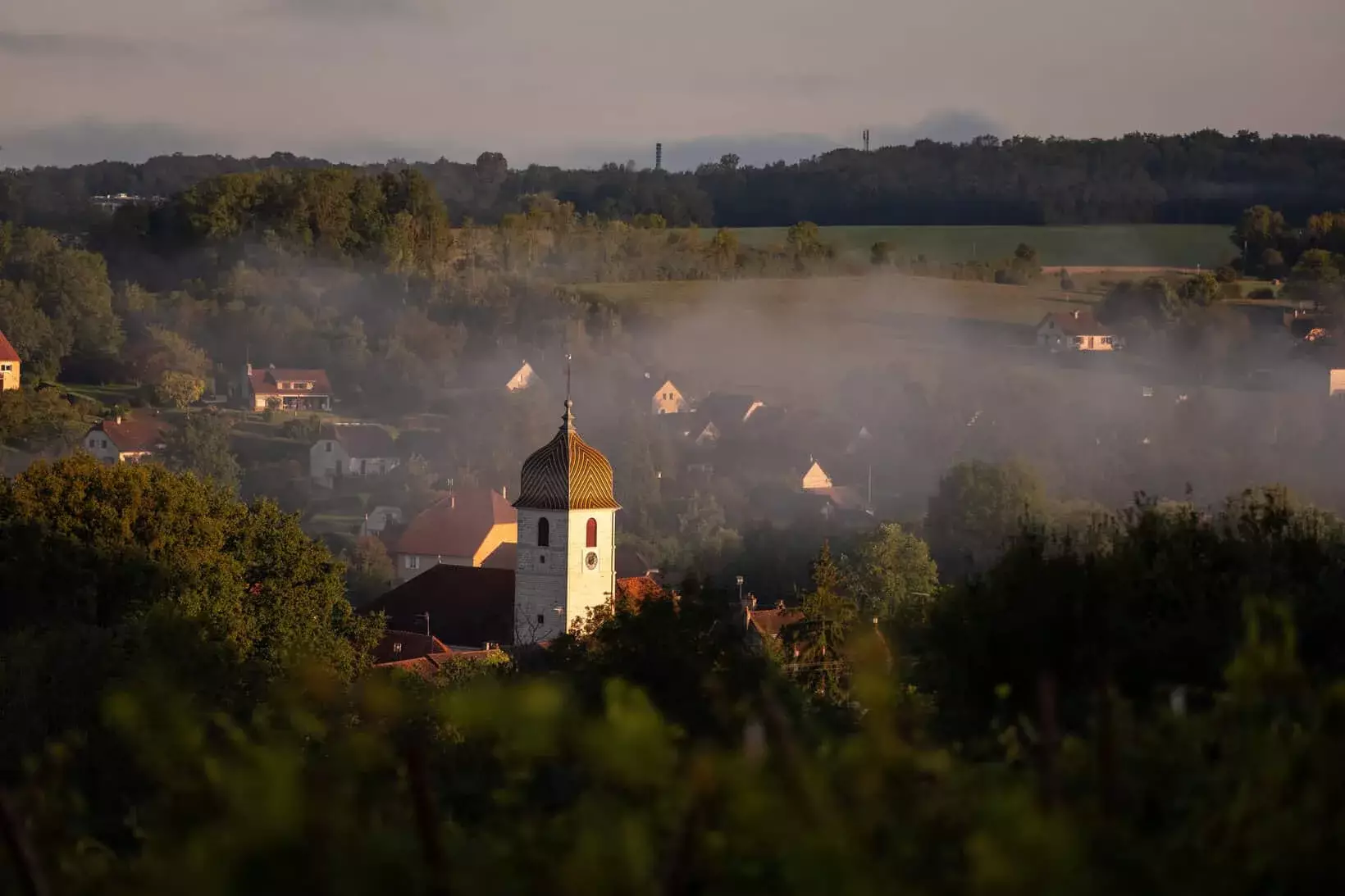 Domaine Bourdy - Le village d’Arlay et son clocher dans la brume, vus depuis les vignes