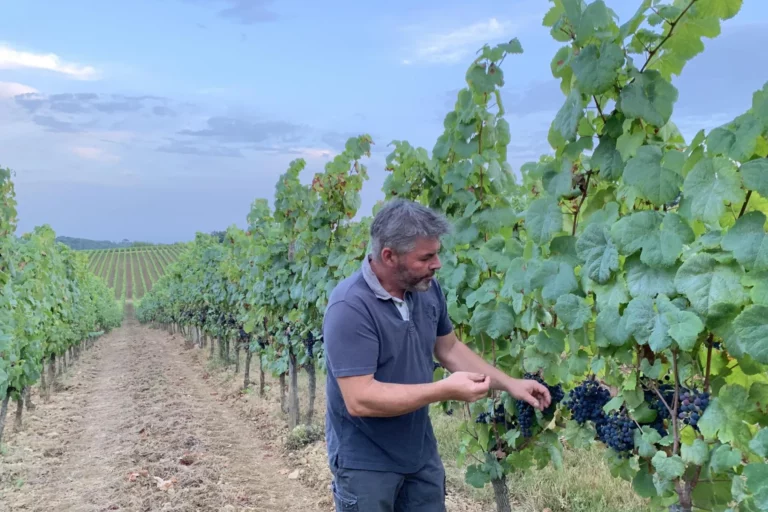 Domaine Damiens