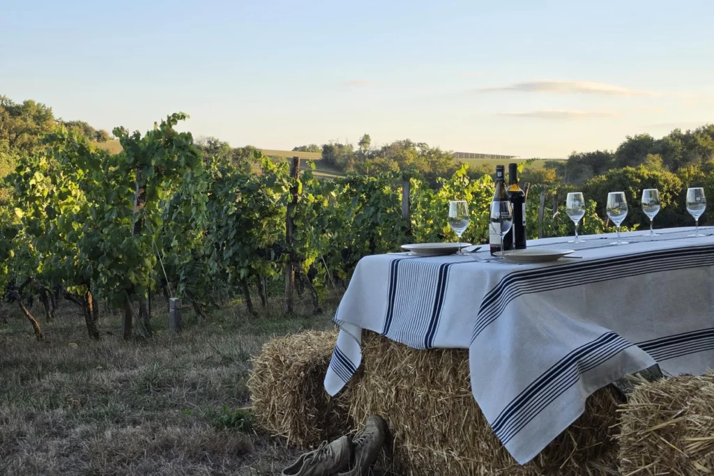 Domaine Damiens - Table dressée sur des bottes de paille au bord des vignes