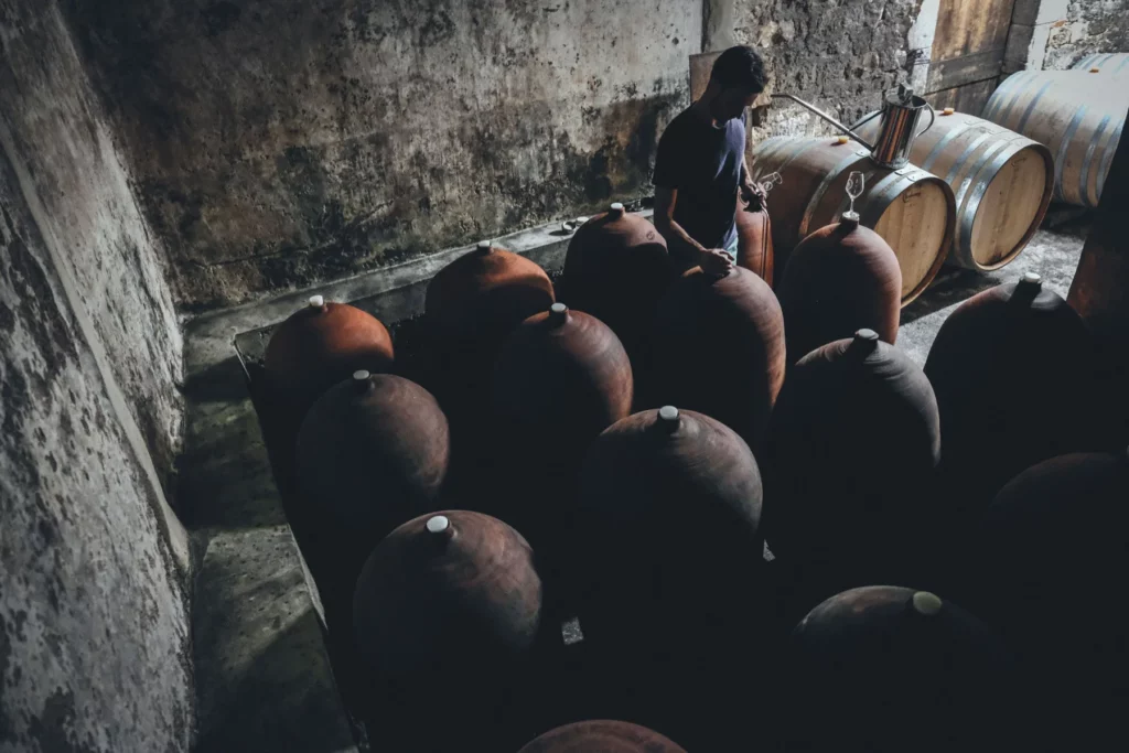 Domaine de Brin - Amphores en terre cuite alignées dans la cave