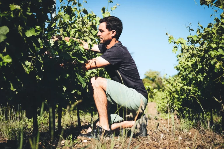 Domaine de Brin