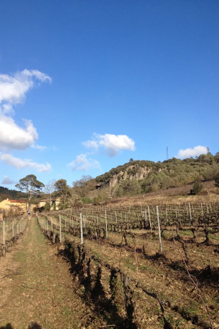 Domaine de Clovallon