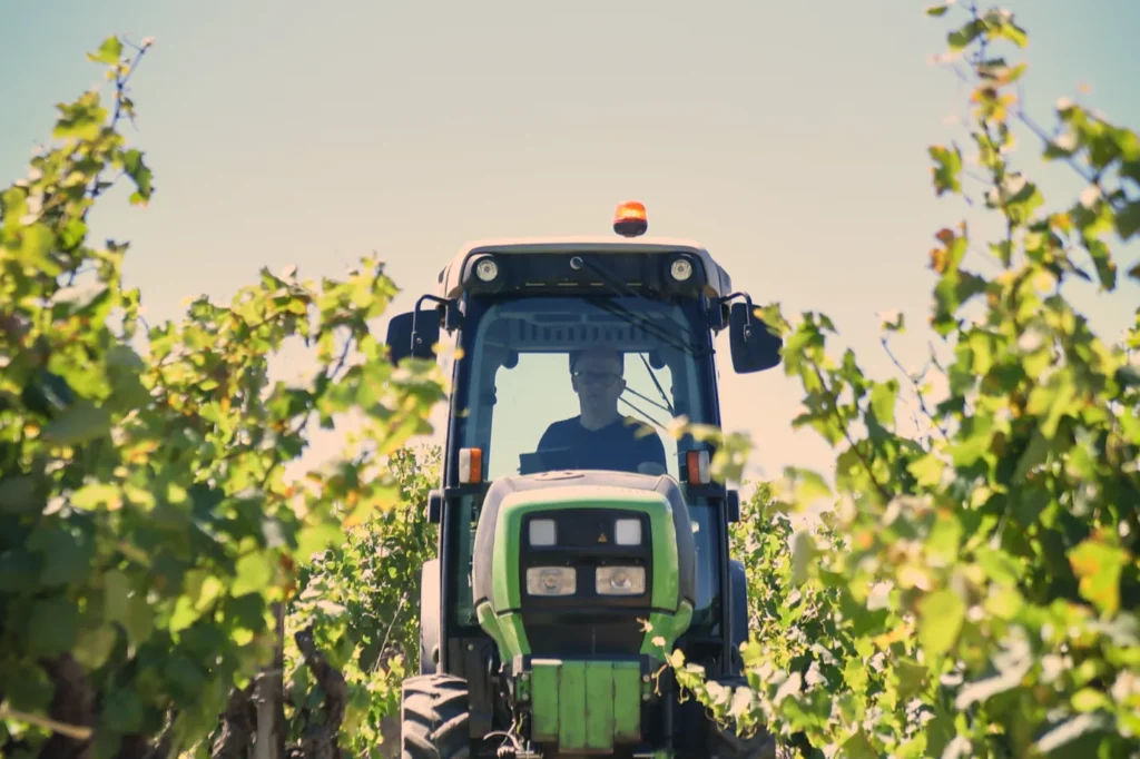 Domaine de Ferrand - Philippe Bravay au volant du tracteur entre les rangs de vigne