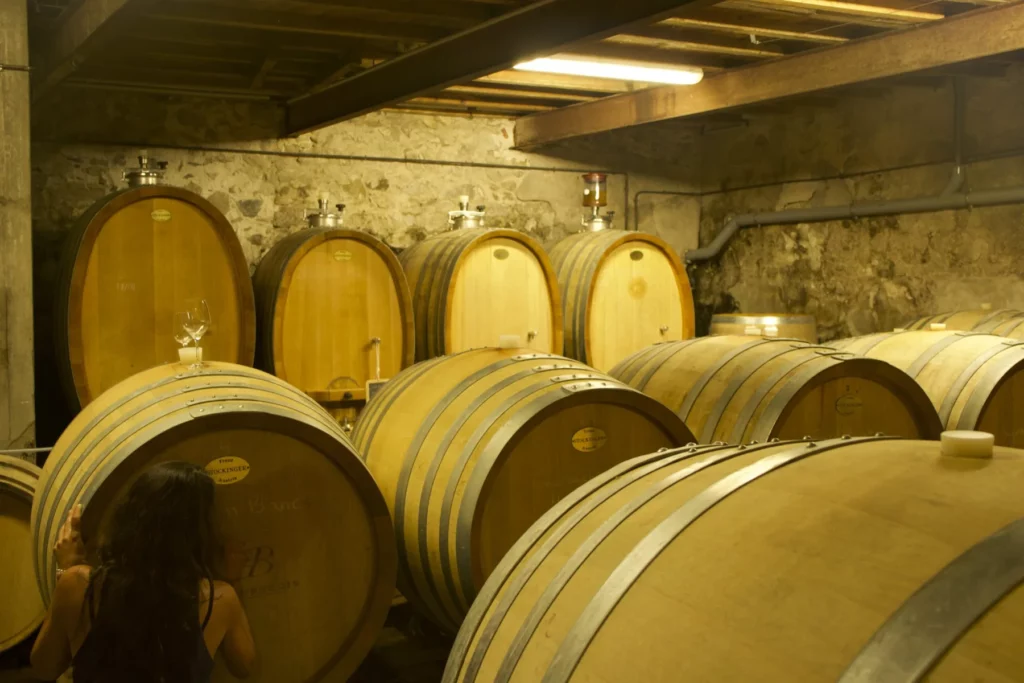 Domaine de l’Horizon - Fûts et demi-muids alignés contre un mur de pierre dans la cave