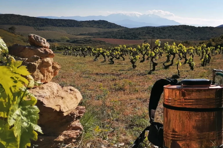 Domaine de l’Horizon