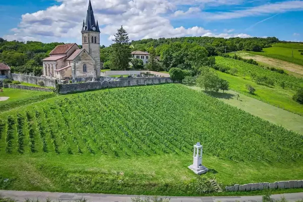 Domaine de la Belière - Parcelle de vigne en contrebas d’un village et de son église