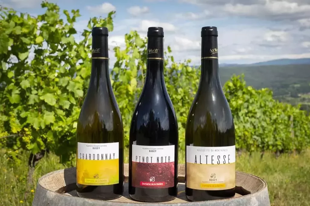Domaine de la Belière - Chardonnay, pinot noir et altesse posés sur un fût au milieu des vignes