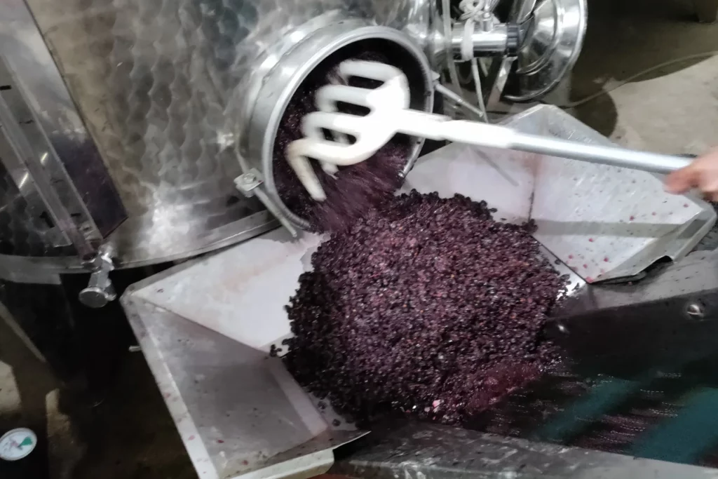 Domaine de la Cozanne - Décuvage d’un pinot noir