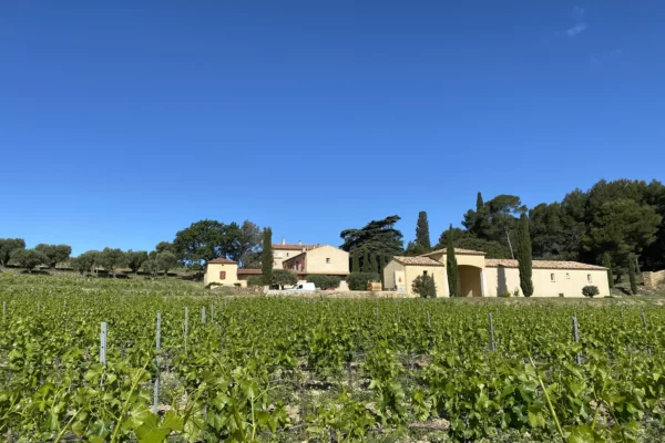Domaine de la Garenne - Les bâtiments du domaine au-delà des rangs de vigne à La Cadière-d’Azur