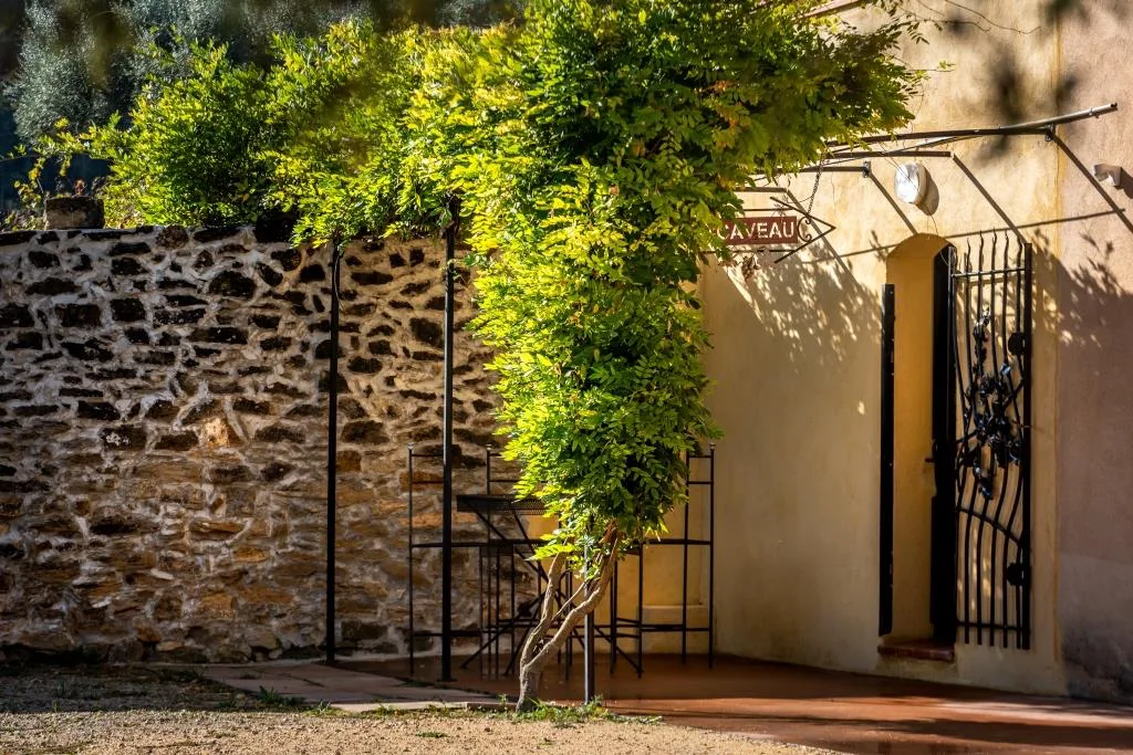 Domaine de la Garenne - Entrée du caveau sous la vigne vierge