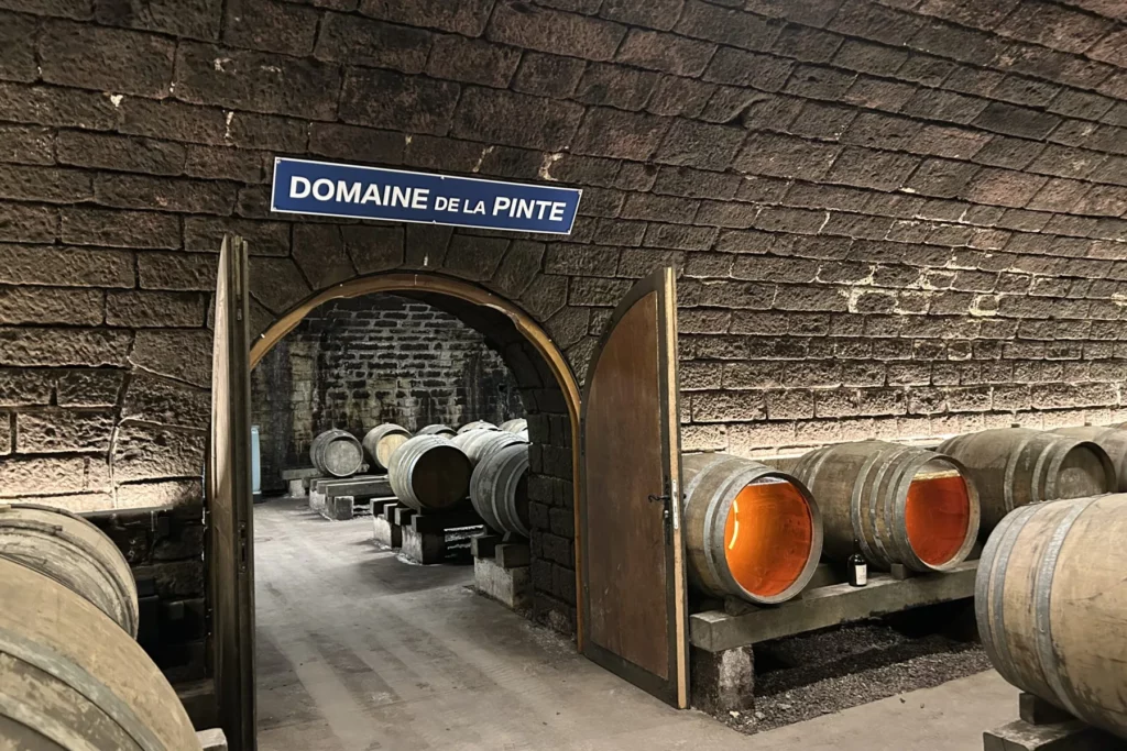 Domaine de la Pinte - Porte ouverte sur une cave voûtée et ses fûts