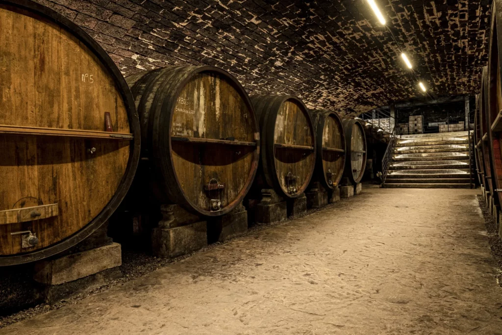 Domaine de la Pinte - Foudres alignés sous la voûte de pierre de la cave
