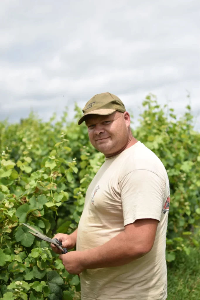 Domaine de la Pinte - Loïc, chef d’équipe, au travail dans les vignes