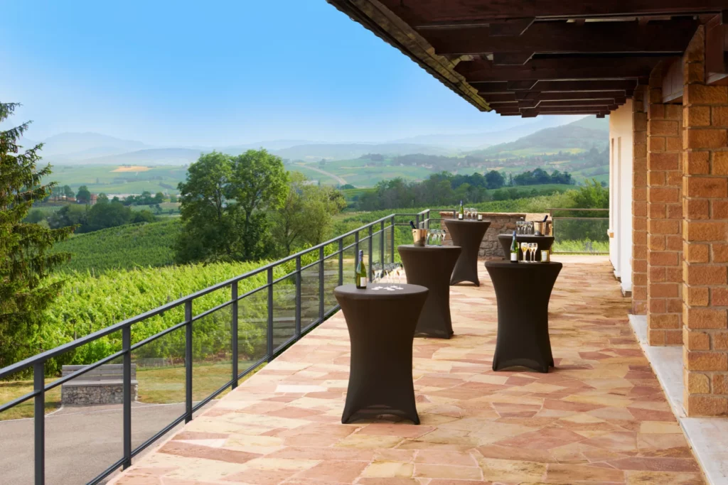 Domaine de la Pinte - Vignes et collines d’Arbois vues depuis la terrasse