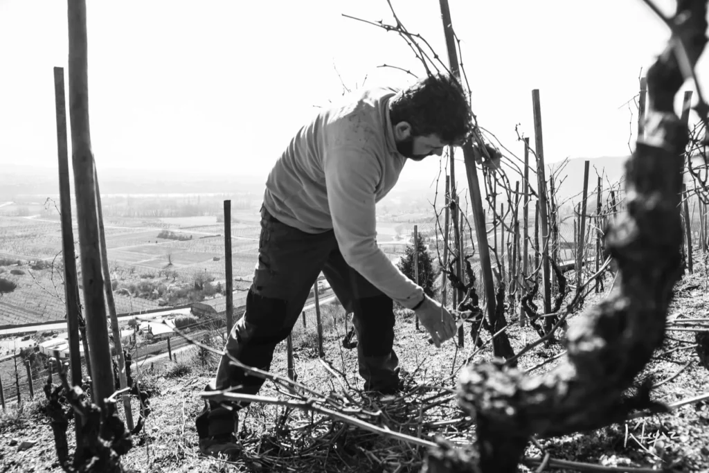 Domaine de la Ville Rouge - Sébastien Girard taille la vigne sur un coteau, la vallée en contrebas