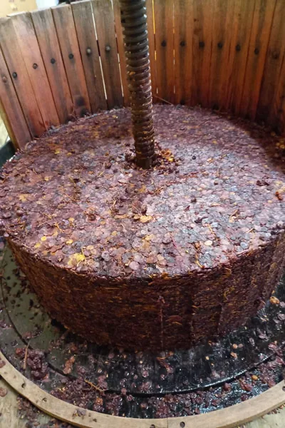 Domaine de l'Octavin - Marc de raisins rouges sous la vis d'un pressoir vertical en bois