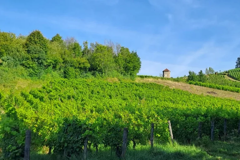 Domaine de l&rsquo;Octavin
