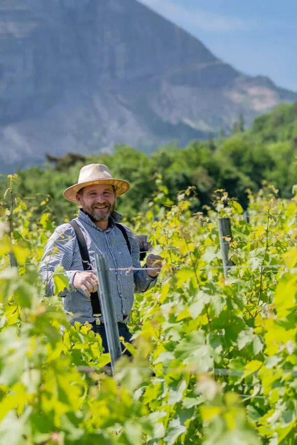Domaine des 13 Lunes - Sylvain Liotard dans ses vignes, au pied des falaises