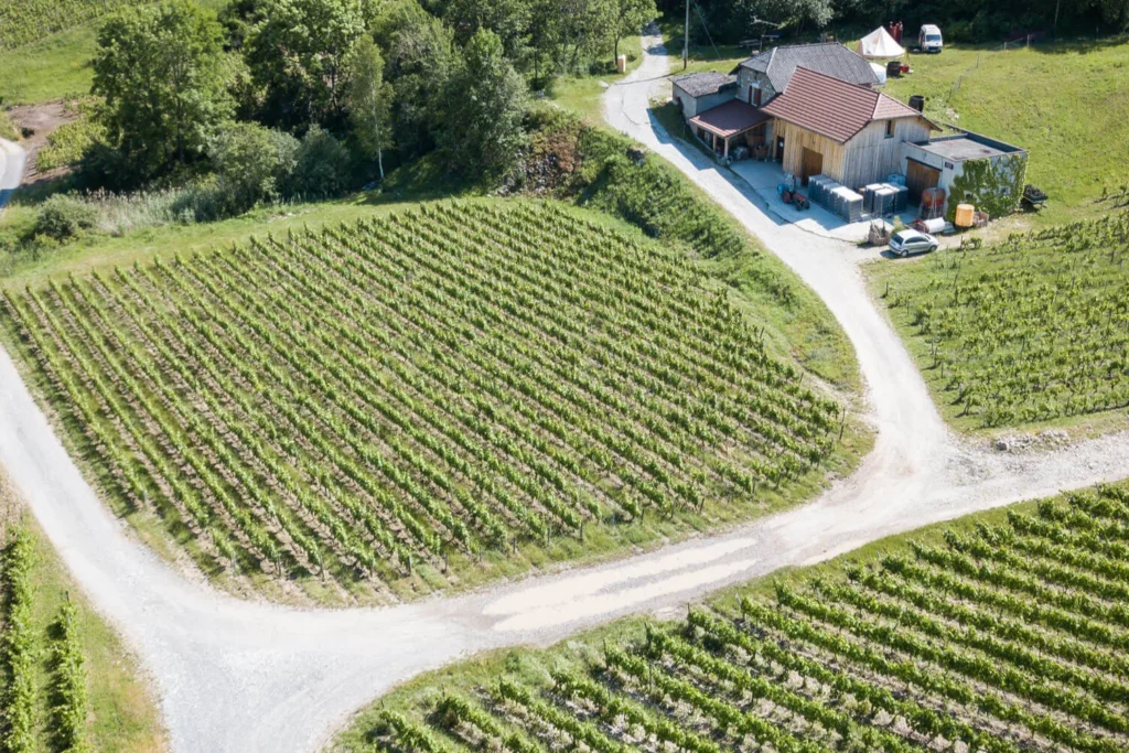 Domaine des 13 Lunes - Vue aérienne de la cave et des parcelles en bordure de forêt