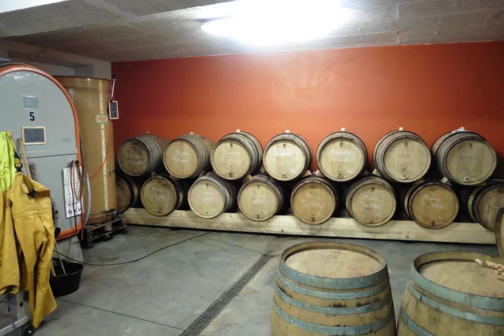 Domaine des Côtes Rousses - La cave, ses barriques et un foudre ovale