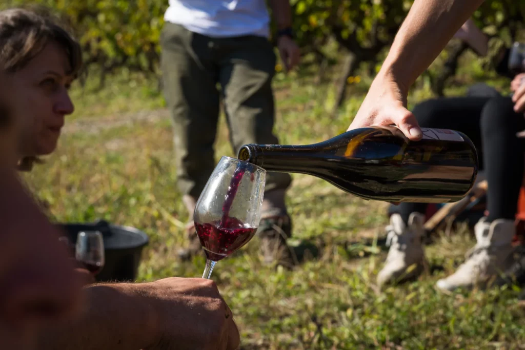 Domaine des Côtes Rousses - Verre de vin rouge servi au milieu des vignes